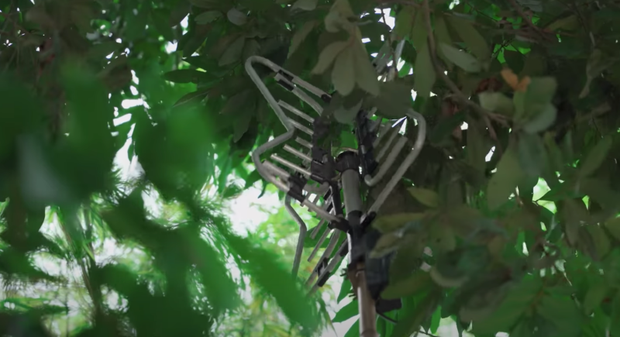 Hậu Hoàng đào mộ thời nhảy Audition, chat Yahoo, sinh nhật cây nhà lá lườn làm ai cũng tiếc vì đã lớn quá nhanh - Ảnh 4.