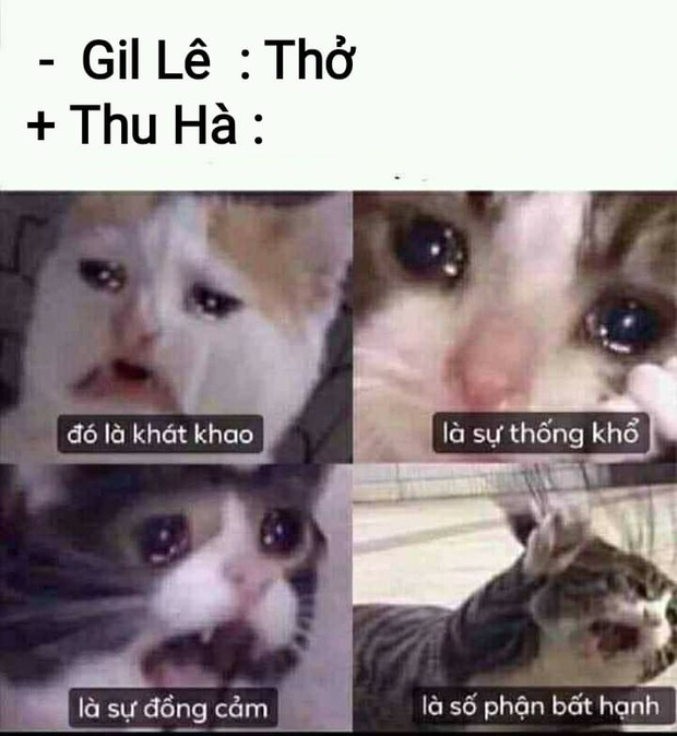 Netizen phát hiện Chi Pu có điểm chung bất ngờ với Thu Hà - idol giới trẻ chuyên nói về Gil Lê, nhưng sao cứ... sai sai? - Ảnh 4.