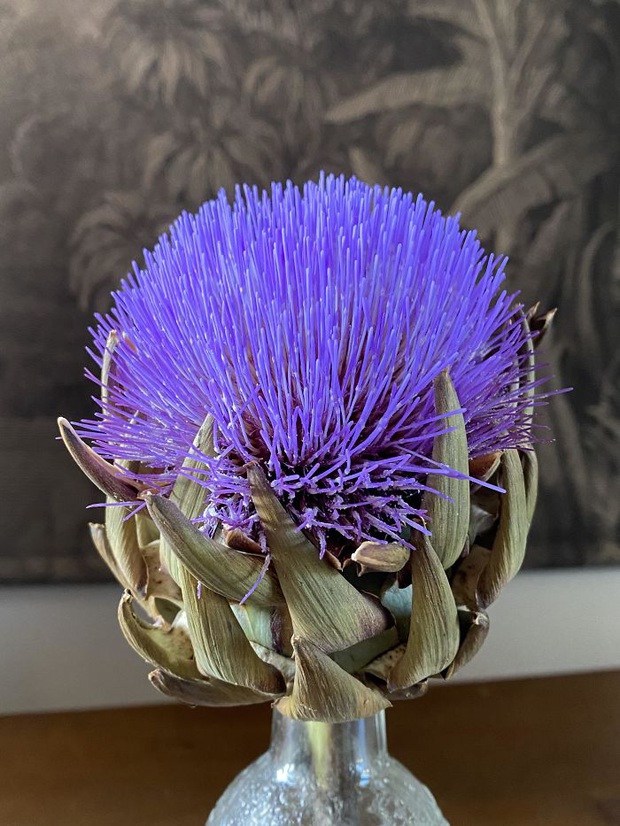 Chuyện gì sẽ xảy ra nếu chúng ta làm những điều này với đồ ăn thức uống: Hành động cuối cực kỳ nguy hiểm, ai cũng cần lưu ý! - Ảnh 9.