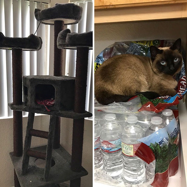 Khi các hoàng thượng chán cảnh đệm êm chăn ấm, chuyển sang phong cách bạ đâu nằm đấy cho thoải mái - Ảnh 9.