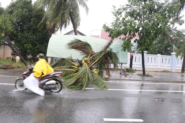 Bão đổ bộ vào Khánh Hòa, TP. Nha Trang mưa to, gió lớn, nhiều nơi mất điện - Ảnh 5.