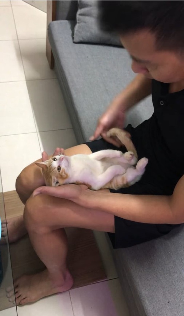 Clip: Ông nội hướng dẫn tắm cho trẻ sơ sinh, biểu cảm của “diễn viên đóng thế” mèo con mới gây sốt cộng đồng mạng - Ảnh 3.