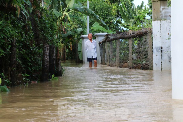 Bão tan nhưng dân phố biển Nha Trang vẫn bì bõm nơi nước ngập - Ảnh 6.