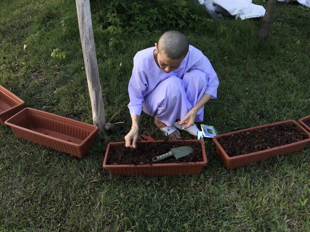 Trong khi Hoàng quý phi được phục vị, hình ảnh vợ cũ của Vua Thái Lan gầy gò hốc hác, đang trồng rau trong chùa được chia sẻ gây xôn xao MXH - Ảnh 5. Trong khi Hoàng quý phi được phục vị, hình ảnh vợ cũ của Vua Thái Lan gầy gò hốc hác, đang trồng rau trong chùa được chia sẻ gây xôn xao MXH - Ảnh 5.
