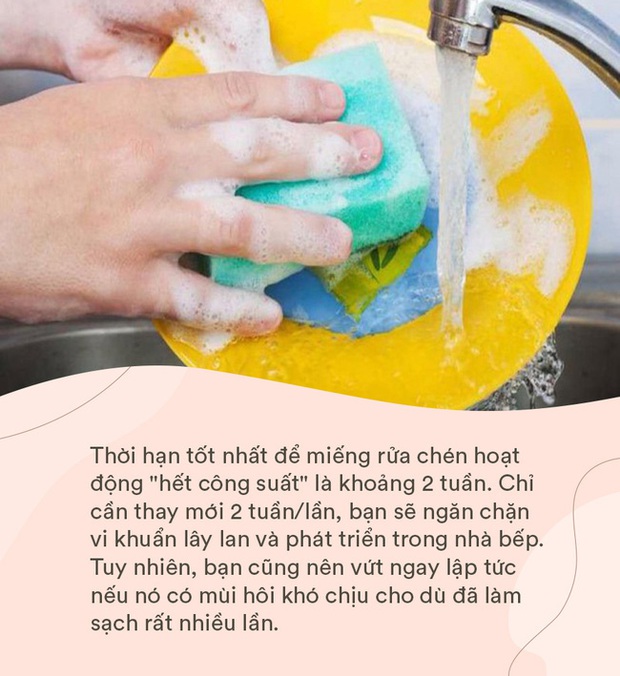 Đây là vật dụng được chứng minh bẩn hơn cả bồn cầu, các bà nội trợ cần vệ sinh đúng cách kẻo rước bệnh cho gia đình lúc nào không hay - Ảnh 3. Đây là vật dụng được chứng minh bẩn hơn cả bồn cầu, các bà nội trợ cần vệ sinh đúng cách kẻo rước bệnh cho gia đình lúc nào không hay - Ảnh 3.
