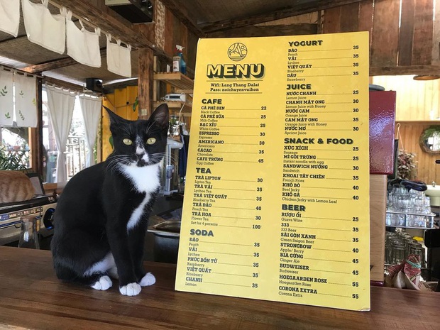 len da lat muon chill thi thu ghe ngay 4 quan do uong thu cong cuc hiem nguoi biet nay, dam bao ban se "nghien" cho xem! - anh 16