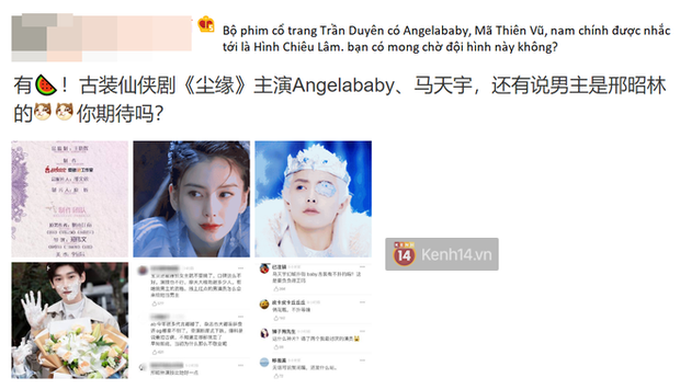 Nghe đồn Angelababy đóng phim với đàn em không nổi, netizen cà khịa có phải do chị hết thời? - Ảnh 1.