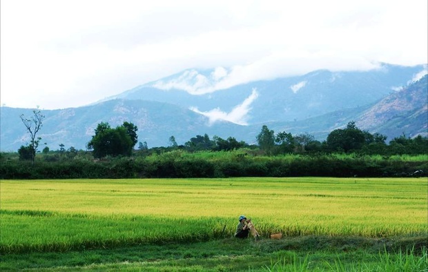 Đến thăm nhà và vườn của Bếp trên đỉnh đồi: Bỏ thành phố về quê sống phải chăng chỉ cần an yên như thế này? - Ảnh 13.