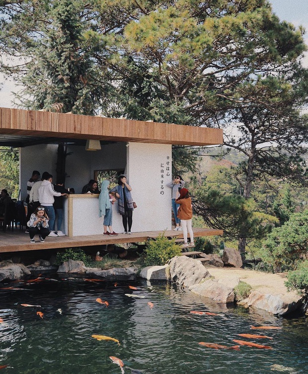 Đà Lạt có nhiều quán cafe thật, nhưng tất cả đều xoay quay 4 phong cách này: Style nào cũng có cả núi ảnh đẹp mang về - Ảnh 5.