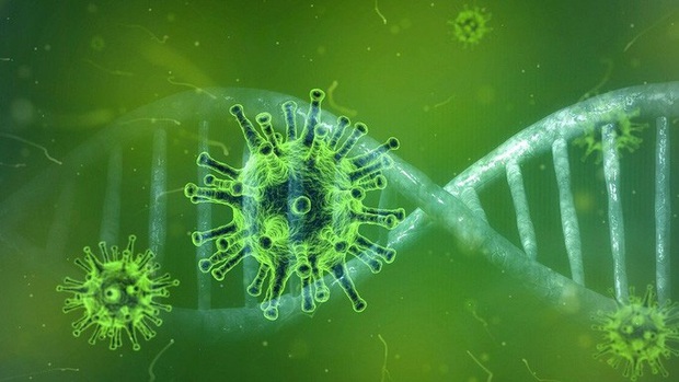 Brazil phát hiện virus chưa từng gặp, Nigeria cảnh báo căn bệnh kỳ lạ - Ảnh 1. Brazil phát hiện virus chưa từng gặp, Nigeria cảnh báo căn bệnh kỳ lạ - Ảnh 1.