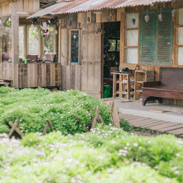 Đà Lạt có nhiều quán cafe thật, nhưng tất cả đều xoay quay 4 phong cách này: Style nào cũng có cả núi ảnh đẹp mang về - Ảnh 19.