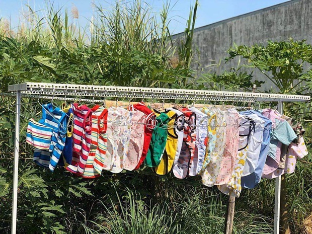 Cô sinh viên năm 2 bị bà hàng xóm đồn là... chửa hoang vì phơi nguyên dây quần áo chó mèo trong dịp về quê ăn Tết - Ảnh 2. Cô sinh viên năm 2 bị bà hàng xóm đồn là... chửa hoang vì phơi nguyên dây quần áo chó mèo trong dịp về quê ăn Tết - Ảnh 2.