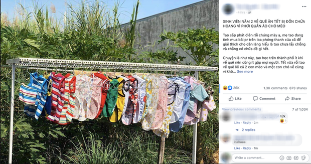 Cô sinh viên năm 2 bị bà hàng xóm đồn là... chửa hoang vì phơi nguyên dây quần áo chó mèo trong dịp về quê ăn Tết - Ảnh 1. Cô sinh viên năm 2 bị bà hàng xóm đồn là... chửa hoang vì phơi nguyên dây quần áo chó mèo trong dịp về quê ăn Tết - Ảnh 1.