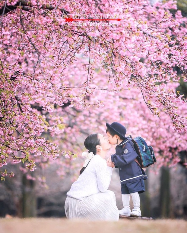 Đất nước “đẹp bất chấp thời gian” đích thị là Nhật Bản, xem ảnh hoa anh đào nở rộ về đêm mà chỉ biết ngỡ ngàng vì quá ảo! - Ảnh 27. Đất nước “đẹp bất chấp thời gian” đích thị là Nhật Bản, xem ảnh hoa anh đào nở rộ về đêm mà chỉ biết ngỡ ngàng vì quá ảo! - Ảnh 27.