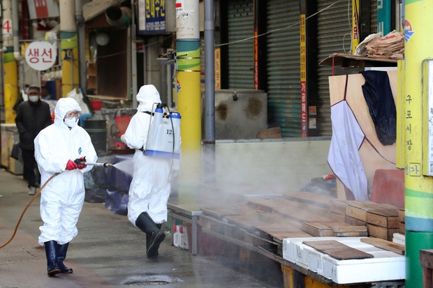 Hàn Quốc tăng mức cảnh báo cao nhất: 6 người chết, 602 ca nhiễm virus corona, 329 người có liên quan đến giáo phái ở Daegu - Ảnh 1.
