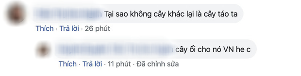 Netizen náo loạn trước tin đồn Khi Cây Trà Trổ Hoa có bản Việt: Lại là Nhã Phương sao? - Ảnh 11.