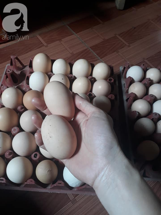 Cùng xem cách chi tiêu của đôi vợ chồng mới cưới ở giữa Hà Nội thu nhập 14 triệu nhưng tháng nào cũng để ra được 8 triệu - Ảnh 6. Cùng xem cách chi tiêu của đôi vợ chồng mới cưới ở giữa Hà Nội thu nhập 14 triệu nhưng tháng nào cũng để ra được 8 triệu - Ảnh 6.