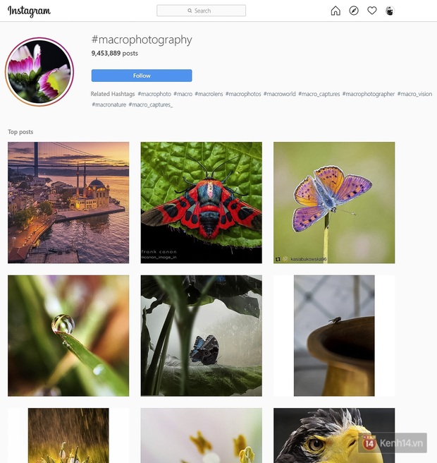 Kho ảnh hơn 9 triệu tấm trên Instagram này đang thắp lửa đam mê cho giới trẻ - Ảnh 1.