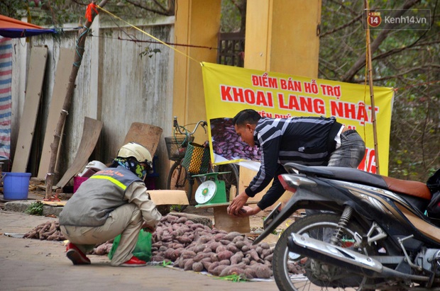 Sự thật sau tấm biển giải cứu khoai lang Gia Lai trên vỉa hè Hà Nội: Người bán thừa nhận lấy hàng từ chợ đầu mối để kiếm lời - Ảnh 3. Sự thật sau tấm biển giải cứu khoai lang Gia Lai trên vỉa hè Hà Nội: Người bán thừa nhận lấy hàng từ chợ đầu mối để kiếm lời - Ảnh 3.