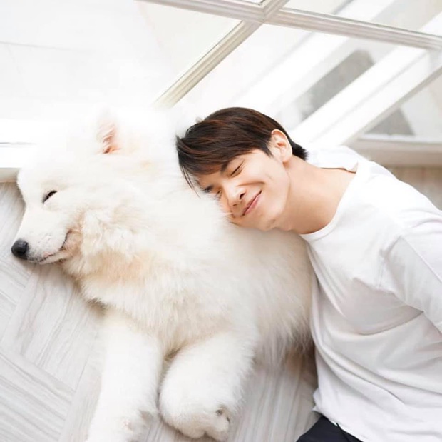 YouTuber người Thái với màn react MV của BTS mặn như muối biển: Không làm trò thì anh cũng nổi vì đẹp trai - Ảnh 7. YouTuber người Thái với màn react MV của BTS mặn như muối biển: Không làm trò thì anh cũng nổi vì đẹp trai - Ảnh 7.