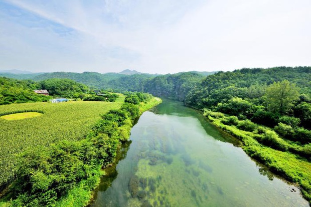 Thiên nhiên xứ Hàn ở Trời Đẹp Em Sẽ Đến đẹp như mộng thế này, bảo sao Park Min Young không đòi về quê nuôi cá trồng rau - Ảnh 11.