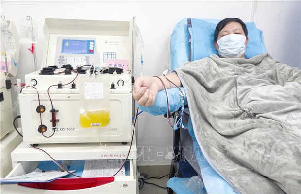 Huyết tương của người khỏi bệnh có tác dụng tích cực trong điều trị bệnh nhân nhiễm SARS-CoV-2 - Ảnh 1.
