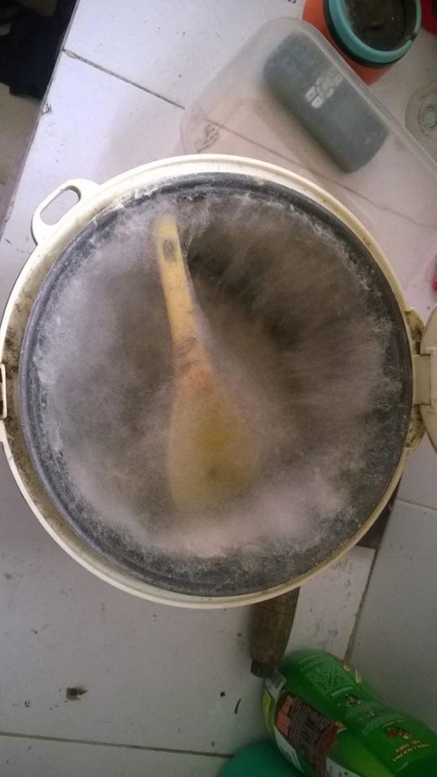 Hết hồn với series nồi cơm điện kinh dị sau Tết: Chắc không bao giờ còn ai dám quên cọ nồi trước khi về quê ăn Tết nữa đâu, sợ lắm rồi! - Ảnh 3.