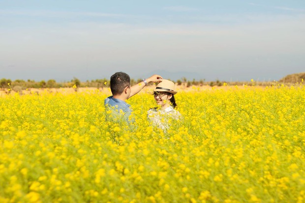 Dân mạng sửng sốt trước cánh đồng hoa cải vàng đẹp như tranh vẽ có thật tại Đà Lạt, xem ảnh mà ngỡ đâu nước Nhật xa xôi - Ảnh 7.