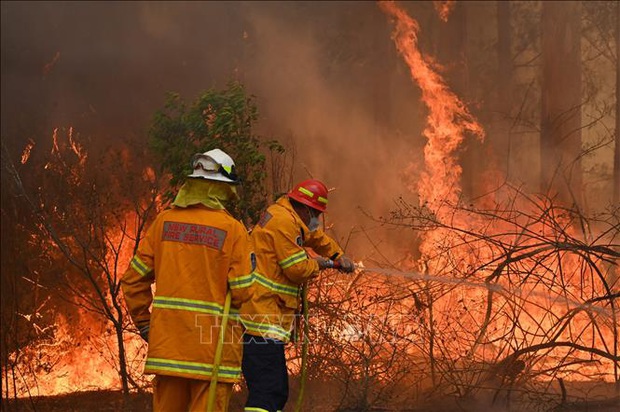 Australia cùng lúc đối mặt với cháy rừng, lũ lụt và bão - Ảnh 1. Australia cùng lúc đối mặt với cháy rừng, lũ lụt và bão - Ảnh 1.