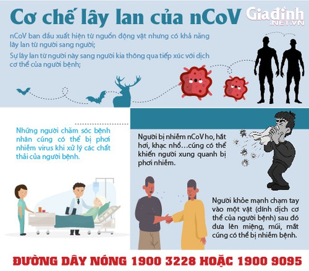 Cách ly phượt thủ người Trung Quốc vào thuê khách sạn ở Hà Tĩnh - Ảnh 3. Cách ly phượt thủ người Trung Quốc vào thuê khách sạn ở Hà Tĩnh - Ảnh 3.