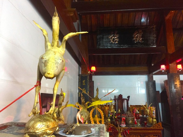Ngắm những thế gà múa trên mâm cỗ ngày rằm tháng giêng ở Hà Tĩnh - Ảnh 1. Ngắm những thế gà múa trên mâm cỗ ngày rằm tháng giêng ở Hà Tĩnh - Ảnh 1.