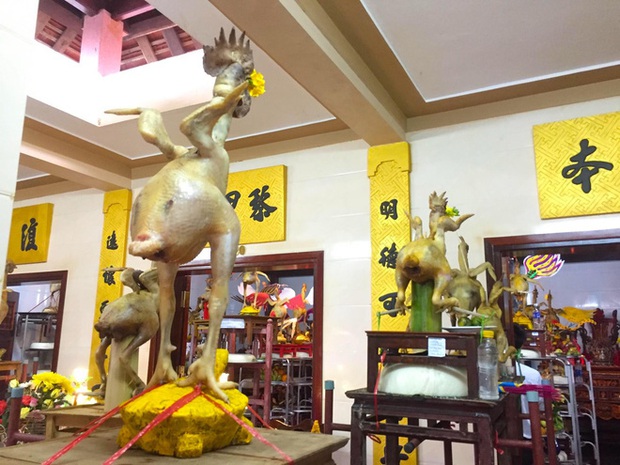 Ngắm những thế gà múa trên mâm cỗ ngày rằm tháng giêng ở Hà Tĩnh - Ảnh 7. Ngắm những thế gà múa trên mâm cỗ ngày rằm tháng giêng ở Hà Tĩnh - Ảnh 7.
