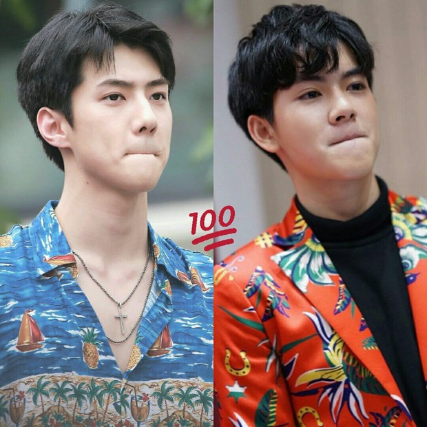Tìm anh chị em thất lạc sao Thái ở Kbiz: Push - Ji Chang Wook, bản sao Jimin (BTS) bất ngờ, Nong Poy giống nữ thần nào? - Ảnh 38. Tìm anh chị em thất lạc sao Thái ở Kbiz: Push - Ji Chang Wook, bản sao Jimin (BTS) bất ngờ, Nong Poy giống nữ thần nào? - Ảnh 38.