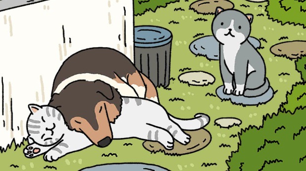 Không chỉ chảnh chọe thôi đâu, các chú mèo trong Adorable Home cũng có một cuộc tình lâm li bi đát không thua kém gì phim Hàn Quốc - Ảnh 3.