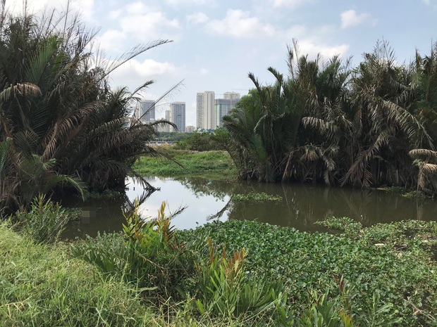 Hai thi thể nam giới trôi trên sông Sài Gòn trong 1 buổi sáng - Ảnh 3.