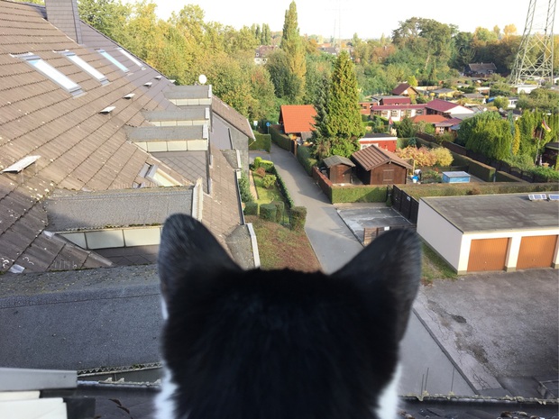 Chỉ một thay đổi nhỏ, chàng trai đã biến căn gác mái chật chội của mình trở nên xinh xắn, thoáng đãng gấp bội - Ảnh 5.