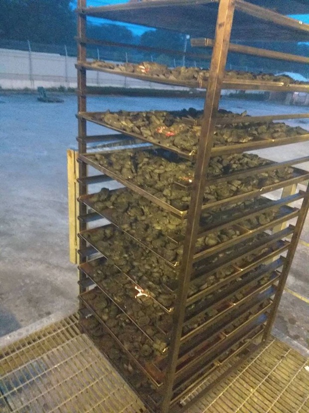 Tai nạn bếp núc phát sinh khi ở nhà quá nhiều, tác phẩm của hội dư nhiệt tình nhưng thiếu tinh tế đây rồi - Ảnh 13.