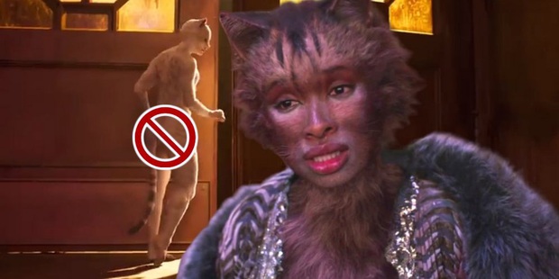Trần như nhộng chưa đủ sợ, netizen đòi NSX Cats tung link lộ phao câu của cô mèo Taylor - Ảnh 6.