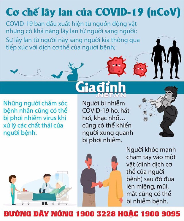 Hi hữu: Chú rể cùng 30 người thân được đưa đi xét nghiệm COVID-19 trước lễ cưới - Ảnh 3. Hi hữu: Chú rể cùng 30 người thân được đưa đi xét nghiệm COVID-19 trước lễ cưới - Ảnh 3.