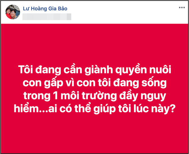 Cuộc chiến giành quyền nuôi con khiến cả Vbiz dậy sóng: Nhật Kim Anh, Gia Bảo vạch mặt nhau, Việt Anh bị vợ tố cực căng - Ảnh 7.