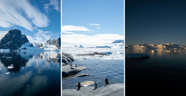 Đi tìm minh chứng về biến đổi khí hậu tại Nam Cực bằng một chiếc iPhone - Ảnh 1.