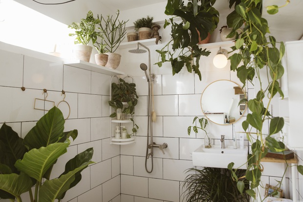 Biến góc nhà ẩm mốc cũ kĩ thành nhà tắm phong cách tropical trên cả cool, chàng trai khiến hội chị em thi nhau nhận idol - Ảnh 2. Biến góc nhà ẩm mốc cũ kĩ thành nhà tắm phong cách tropical trên cả cool, chàng trai khiến hội chị em thi nhau nhận idol - Ảnh 2.