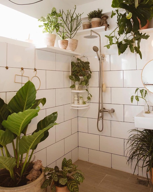 Biến góc nhà ẩm mốc cũ kĩ thành nhà tắm phong cách tropical trên cả cool, chàng trai khiến hội chị em thi nhau nhận idol - Ảnh 5. Biến góc nhà ẩm mốc cũ kĩ thành nhà tắm phong cách tropical trên cả cool, chàng trai khiến hội chị em thi nhau nhận idol - Ảnh 5.