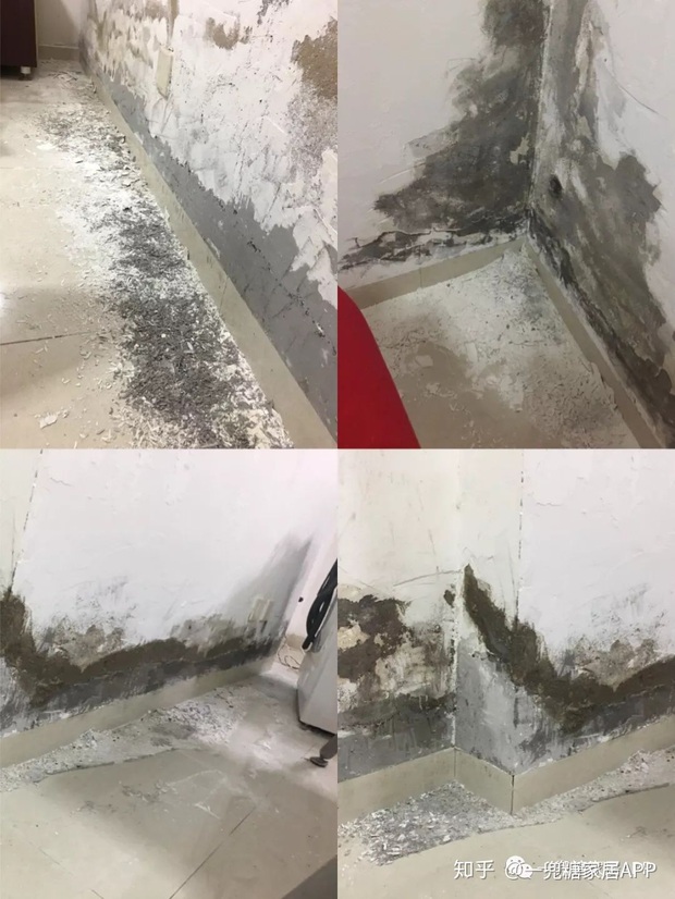 Cô gái dùng nửa tháng biến căn phòng trọ lộn xộn thành nơi xịn chẳng kém gì homestay: Thế này mới đáng sống chứ! - Ảnh 2. Cô gái dùng nửa tháng biến căn phòng trọ lộn xộn thành nơi xịn chẳng kém gì homestay: Thế này mới đáng sống chứ! - Ảnh 2.