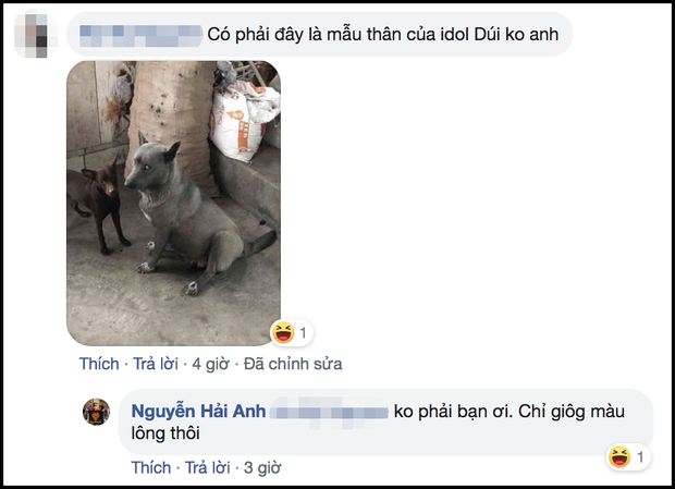 Sự thật về hình ảnh mẹ chú chó idol Nguyễn Văn Dúi, dân tình còn ngỡ ngàng vì giống nhau từ lông đến biểu cảm - Ảnh 4. Sự thật về hình ảnh mẹ chú chó idol Nguyễn Văn Dúi, dân tình còn ngỡ ngàng vì giống nhau từ lông đến biểu cảm - Ảnh 4.