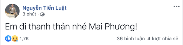 Bạn bè nghệ sĩ bàng hoàng, thương xót khi nghe tin diễn viên Mai Phương qua đời vì ung thư phổi - Ảnh 12.