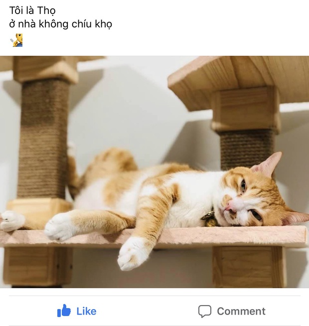 Dùng tên mình xuất khẩu thành thơ để động viên nhau ở nhà: Trend đáng yêu mà dễ đu nhất mùa dịch đây rồi! - Ảnh 6.