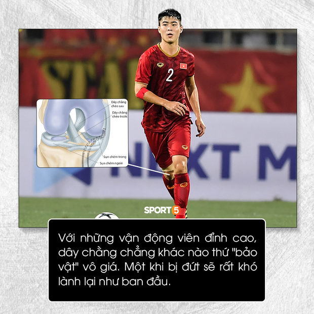 Dây chằng gối: Thứ bảo vật của cầu thủ - Ảnh 2. Dây chằng gối: Thứ bảo vật của cầu thủ - Ảnh 2.