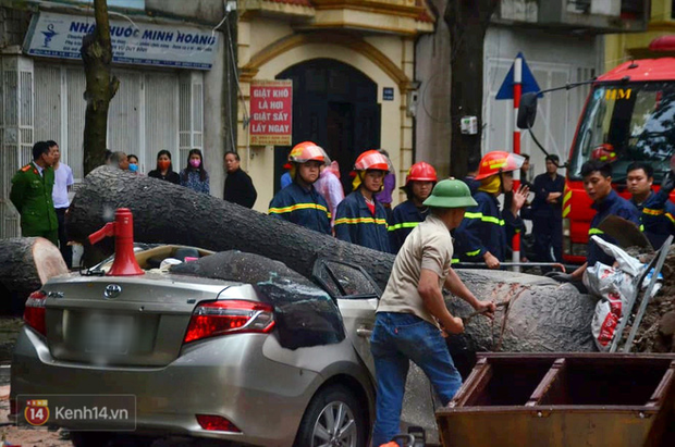 Hà Nội: Cây cổ thụ bật gốc vì mưa lớn, đè nát ô tô đậu trên vỉa hè - Ảnh 4. Hà Nội: Cây cổ thụ bật gốc vì mưa lớn, đè nát ô tô đậu trên vỉa hè - Ảnh 4.