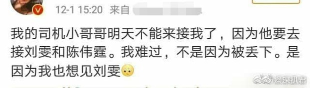 Rầm rộ tin Trần Vỹ Đình bị bắt quả tang hẹn hò Liu Wen, thêm cặp trai xinh gái đẹp không ai ngờ khiến Weibo dậy sóng - Ảnh 4.